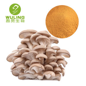OEM/ODM травяной 7 гриб экстракт порошка 100 г, maitake Львиная Грива chaga shiitake cordyceps <span class=keywords><strong>ganoderma</strong></span> экстракт 30% Полисахариды - Product Image 6