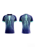 Collection de vêtements d'équipe multisports personnalisés, maillot de football, uniforme de basketball, t-shirt d'entraînement, survêtement à capuche, vente en gros OEM ODM