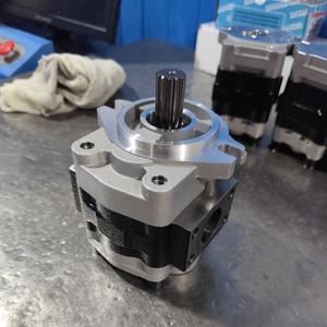 ชุดประกอบปั๊มเกียร์ภายนอก SGP2-44 SGP2-48 SGP2-52 SGP2A55 สำหรับเครื่องจักรอุตสาหกรรม SGP2-32F1H1-L SGP2-27F1H1-L - Product Image 3
