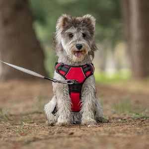 Arnés para Perro en Oferta, al Mejor Precio, Suave y Transpirable, Tipo Chaleco para Dachshund con Correa Reflectante para el Pecho y Correas, Color Sólido <span class=keywords><strong>Teckel</strong></span> - Product Image 6