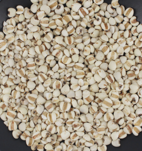 Frutti Interi Crudi di Job's Tears Yi Yi <span class=keywords><strong>Ren</strong></span> Essiccati Naturalmente in Vendita - Product Image 4