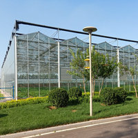 Serres agricoles en verre Système hydroponique Venlo Type Green House à vendre