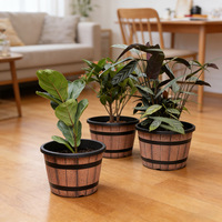 Pot de fleurs rétro en plastique imitation bois, durable, épaissi, extra-large pour arbres fruitiers, hydroponie, lotus, nénuphars, classique