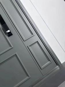 Professional Manufacturer the <strong>Best</strong> China-<strong>design</strong> <strong>Metallic</strong> <strong>Doors</strong> Metal Exterior <strong>Doors</strong> Colors for Metal <strong>Doors</strong> - Product Image 4