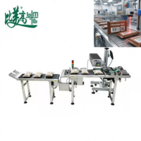 Machine de marquage laser anti-contrefaçon pour la date de production et les marques de brevet, pour l'emballage de snacks et les lignes de production d'emballages souples pour snacks