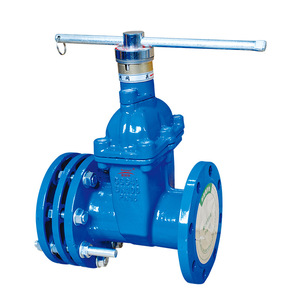 Guangdong Magnesium Special Sz45x Telescopic Resilient Seated Gate Valve Dn100 Pn16 For Water Flow Control - Product Image 2
