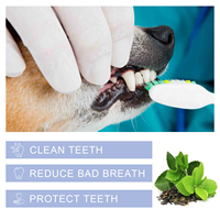 Dentifrice OEM personnalisé pour animaux de compagnie, produits de nettoyage pour chats et chiens, soin buccal et des gencives, prévention du tartre, dentifrice comestible pour chats