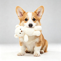 Peluche chien mignon tenant un petit ours, Golden Retriever, Corgi, Shiba, Husky, jouet en peluche pour enfants, cadeau