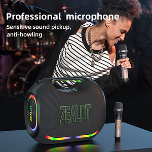Zealot ZE21M avec double microphone, LED RGB, en plastique, sortie 250W, prend en charge la carte mémoire, la batterie TF pour le home cinéma et l'utilisation en extérieur - Product Image 2