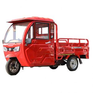 ยางสำหรับรถกระบะสามล้อไฟฟ้าสำหรับผู้ใหญ่1000W รถออฟโรด - Product Image 5