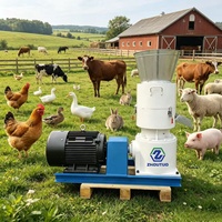 Nueva Máquina para Hacer Pellets de Alimento para Pollos y Cerdos de Alta Productividad de 500-1000 kg/h, Certificación CE, Acero Inoxidable 304