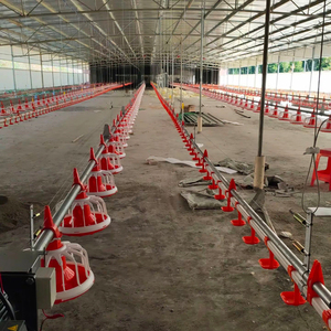 Automatic Broiler Chicken Auger Pan Feeding Line System Poultry Farm Equipment For Raising Poultry Animal Feeders