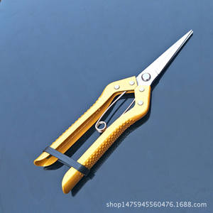 Ciseaux de cueillette de fruits Okahiro, 190 mm, en acier à haute teneur en carbone, tête droite, jaunes, outils de jardinage pour la récolte et l'éclaircissement des plantes - Product Image 5