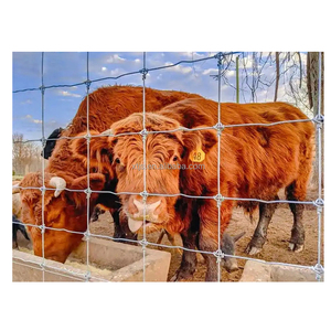 Gran oferta, Red <span class=keywords><strong>de</strong></span> barandilla para pastizales, red para ganado, Red <span class=keywords><strong>de</strong></span> valla <span class=keywords><strong>de</strong></span> alambre <span class=keywords><strong>de</strong></span> púas <span class=keywords><strong>de</strong></span> <span class=keywords><strong>cuarentena</strong></span> - Product Image 4