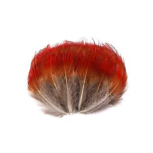 Plumes de <span class=keywords><strong>faisan</strong></span> rouge naturelles de 4 à 8 cm, 100 pièces, pour loisirs créatifs et bijoux fantaisie - Product Image 6