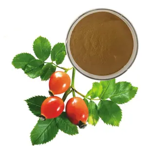 Rozenbottel Fruit Extract Rozenbottel Extract Poeder 5% Polyfenolen