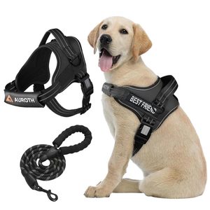 Sadel gaya tidak ada tarik Oxford, kekang anjing dan Set tali reflektif bisa disesuaikan, rompi Harness hewan peliharaan nama pribadi - Product Image 1