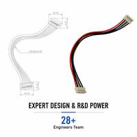 Kabel Harness Presisi Tinggi Khusus dengan Pitch 2.54mm, Berpelindung Dua Ujung, Dilengkapi Inti Ferit 1007 24AWG untuk Sistem Manajemen Otomatis