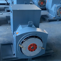 Generador Sincrónico de CA sin Escobillas Trifásico de 4 Polos y 100 kW STF-274ES, Cabezal de Generador de Grado Industrial para Grupos Electrógenos Diésel de Uso Pesado