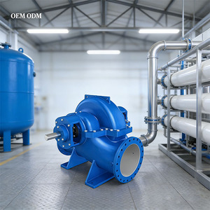 Pompe à eau industrielle haute pression - Série SH, en acier inoxydable, haute puissance, double aspiration, à corps divisé - Product Image 2