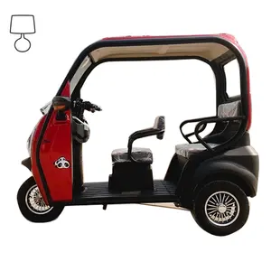 EEC Certified Electric 3 Wheel Full Closed Mobility Scooter With Passenger Seats, Luxury Electric New Energy Automobile Vehicle