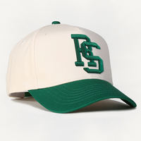Gorras de Béisbol Deportivas de 5 Paneles con Visera Curva, Personalizables con Logotipo Bordado, Gorras Personalizadas para Fitness, Gorra Original