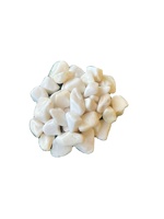 Vente directe usine – Galets décoratifs blancs en dolomite pour jardins, cours arrière, parcs – Galets écologiques et adaptés aux poissons