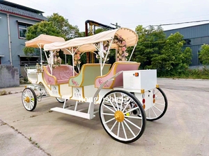 Chariot de mariage électrique coloré en forme de cheval avec couronne - À vendre - Équipement de parc d'attractions - Product Image 4