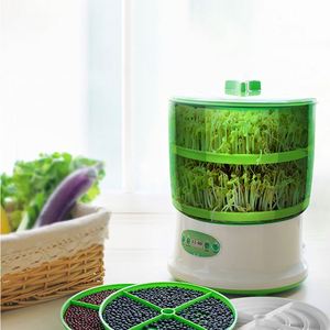 Máquina de Germinación de Gran Capacidad en Oferta, Máquina Automática para Germinar Semillas y Brotes de Frijol - Product Image 2