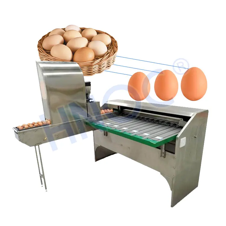 Ovo de galinha automático classificador de peso, tamanho classificado, pequena escala, classificador de grau de ovo, máquina por peso