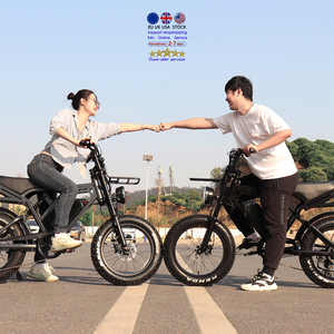 Vélo Électrique à Pneus Larges de 20 Pouces, <span class=keywords><strong>Type</strong></span> Cargo Familial, Vélo Cargo Électrique VOMO X80 - Product Image 2
