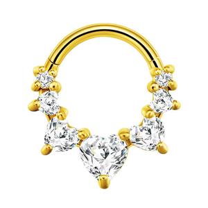 Paslanmaz Çelik Piercing 16G CZ İşlemeli <span class=keywords><strong>Septum</strong></span> Halkası Kilitlenebilir Burun Halkası Menteşeli Segment Helix Kıkırdak Küpe Kadınlar İçin Vücut Takısı - Product Image 6