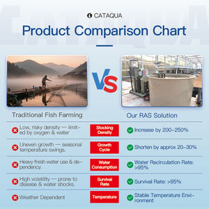 Systèmes d'aquaculture RAS professionnels en environnement contrôlé pour crevettes, système complet pour une <span class=keywords><strong>culture</strong></span> efficace des moules - Product Image 4