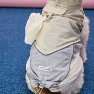 Abbigliamento Personalizzato per Cani all'Ingrosso, Giacca Regolabile Traspirante e Leggera per Bassotto e Cani di Piccola Taglia - Product Image 5