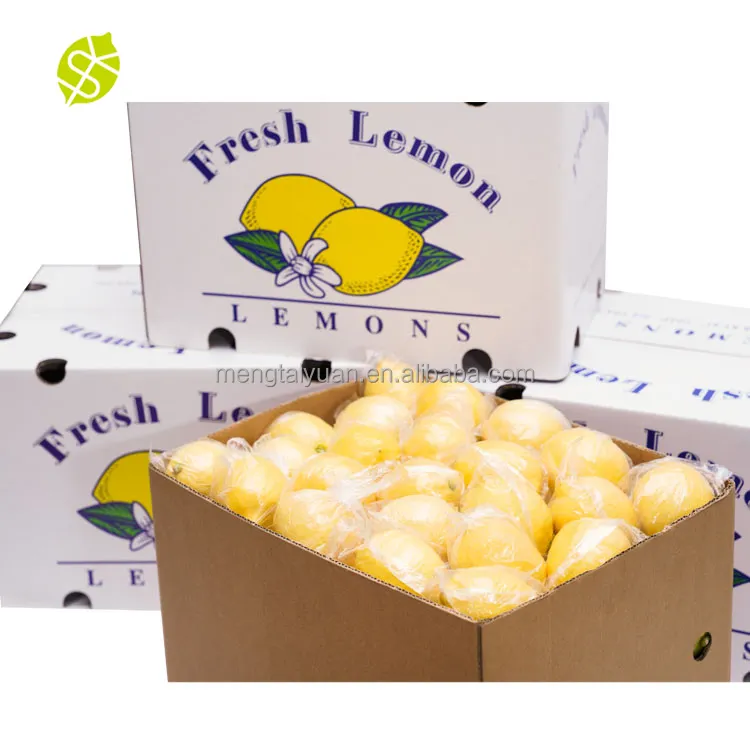 Monsale meyve ihracat şirketi sarı Eureka limon