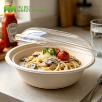Saladier et bol à nouilles à emporter 900 ml en bagasse avec couvercle, résistant à la graisse et anti-fuite, jetable, non blanchi, OEM
