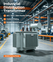 Na Chuan High Voltage Transformer 11kv Oil Cooling Type Distribution Transformer 250kVA with CE Certification