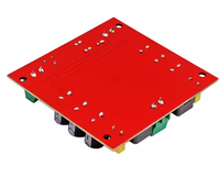 Carte d'amplificateur de puissance numérique monocanal haute performance TPA3116D2 150W avec module d'amplification audio 12V et 24V