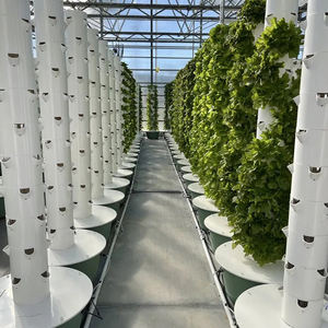 Invernaderos agrícolas, sistema aeropónico Vertical de Agricultura, cultivo hidropónico para jardín torre con componentes de motor y núcleo de bomba - Product Image 6