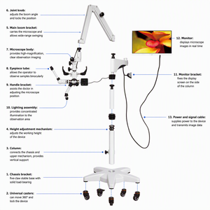 Microscopio Quirúrgico de Reconstrucción Óptica de Plástico con Iluminación Coaxial LED y Visor Binocular - Product Image 2