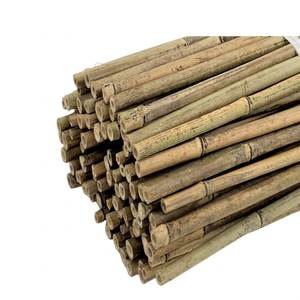 Hot Selling Eco-friendly ECO2GO VIETNAM Bamboo Stakes Model ECO2GO BAMBOO STAKES High Quality Bamboo Material Garden Plant - Product Image 1
