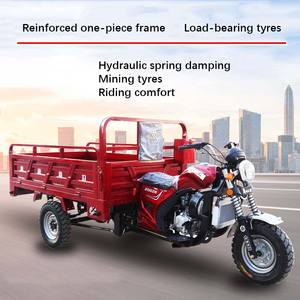 Moto voiture tricycle motorisé cargo scooters à essence tricycles à <span class=keywords><strong>benne</strong></span> basculante motorisés pour adultes - Product Image 2