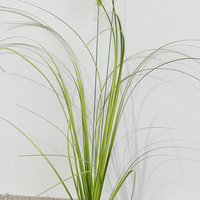 Herbe artificielle Yiang en roseau, tige unique, courbe naturelle, haute simulation, 36-56 cm, pour étagère scandinave, toile de fond photo pour réseaux sociaux