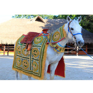 Costume de cheval traditionnel indien pour l'entrée du marié lors du Baraat, en velours, design léger - Product Image 1