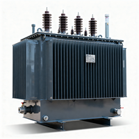 Transformateur triphasé 11 kV 400 V à noyau en cuivre immergé dans l'huile, certifié IEC 60076 PSQCA, pour mise à niveau du réseau au Pakistan, à bas prix