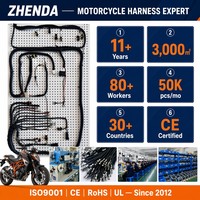 Harnais de câblage automobile personnalisé OEM ODM, assemblage de câbles moteur ISO9001