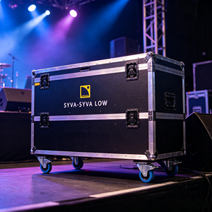 Flight case audio ST, étui de transport professionnel pour enceinte <span class=keywords><strong>line</strong></span> <span class=keywords><strong>array</strong></span> <span class=keywords><strong>L</strong></span>-<span class=keywords><strong>Acoustics</strong></span> SYVA LOW - Product Image 2