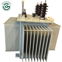 Transformateur de distribution immergé dans l'huile série S13, haute efficacité, économie d'énergie, triphasé, 50/60Hz, 10kV, 11kV, 10kVA-2000kVA