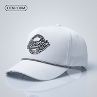 Casquette de baseball personnalisée pour homme, en coton, à visière incurvée, pour l'été et les activités de plein air, 100% coton, brodée, 5 pièces