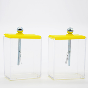 Foil electroscope for student electrostatic experiments, <b>physics</b> electrical experiments, teaching instruments, electrometer - Product Image 1